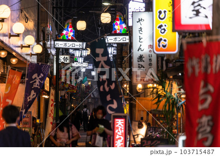《東京都》蒲田駅前飲み屋街・バーボンロード 《東京都》蒲田駅前飲み屋街・バーボンロード 103715487