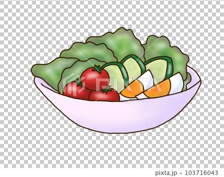 サラダ 103716043