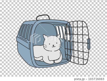 cat in carry case 103716083
