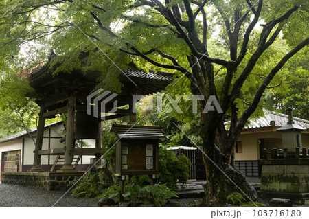 梅雨の輪王寺 103716180