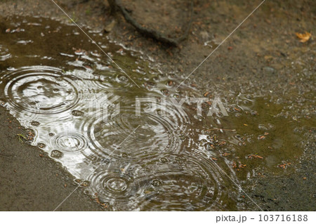 梅雨の風景 103716188