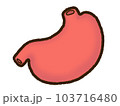 胃 103716480