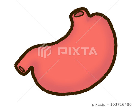 胃 103716480