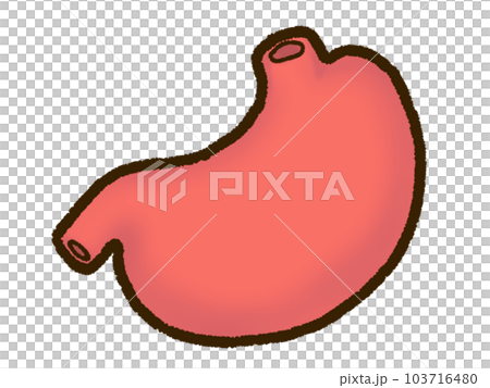 胃 103716480