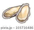 生牡蠣 103716486
