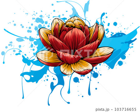 Beautiful flower Lily Lotus vector illustration design 103716655