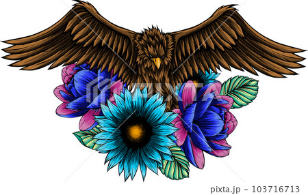 hand draw of eagle vector illustration design hand draw of eagle vector illustration design 103716713