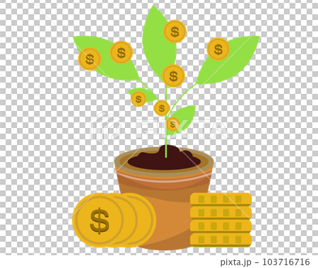 money tree. US dollar, foreign currency, savings, investment, business, business growth. vector illustration 103716716