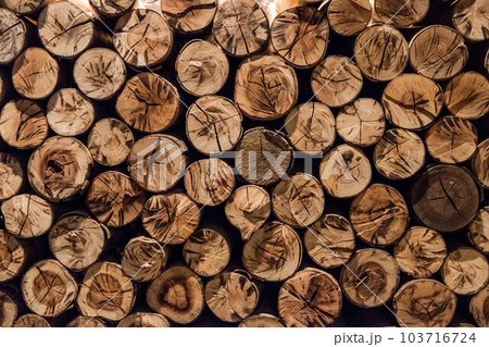 background of wood logs, wood stack. In different shape and color background of wood logs, wood stack. In different shape and color 103716724