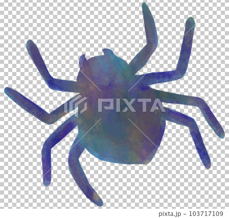 simple spider illustration simple spider illustration 103717109
