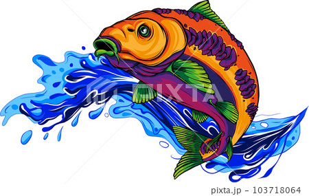 colored draw of Carp Fish Vector Illustration design 103718064