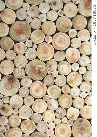 Background cross-sections of trees or stumps are used in background work. 103718625