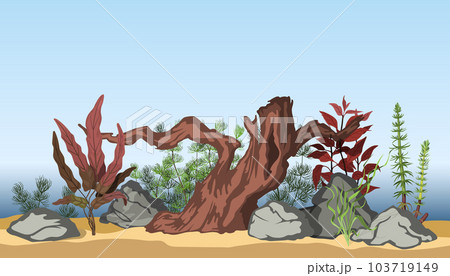 Aquarium underwater interior. Cartoon background of aquatic plants. Horizontal water landscape. Colorful aqua scene 103719149