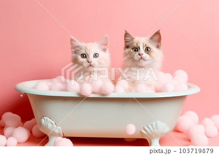 Portrait of cute cats in bath with bubbles on pink background. Generative AI illustration 103719879