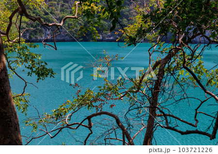 beautiful lagoon,tropical paradise,Angthong national marine park, koh Samui, Suratthani, Thailand. beautiful lagoon,tropical paradise,Angthong national marine park, koh Samui, Suratthani, Thailand. 103721226