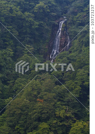 宮城県/ 緑豊かな中を落水する夏の「三階の滝」(三階滝) 宮城県/ 緑豊かな中を落水する夏の「三階の滝」(三階滝) 103723237