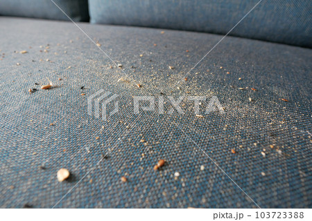 dirty stain or dust on gray color sofa  103723388