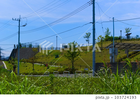 千葉県流山市鰭ヶ崎4号公園周辺2023年6月 103724193