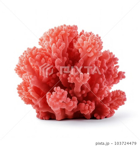 Coral reef isolated. Illustration AI Generative Coral reef isolated. Illustration AI Generative 103724479