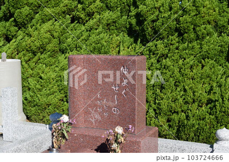 お墓の風景 集団墓地の写真素材 [103724666] PIXTA