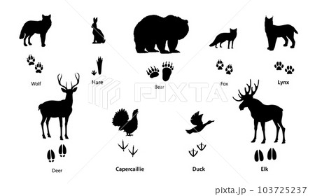 Forest animal and bird silhouettes withのイラスト素材 Forest animal and bird silhouettes withのイラスト素材