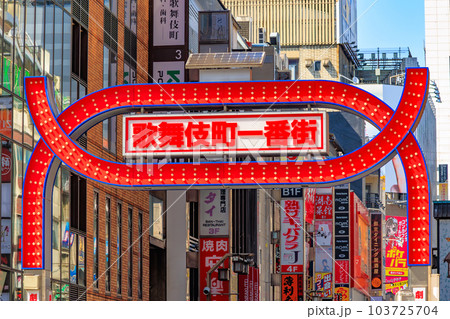 東京　新宿区 歌舞伎町の都市風景　歌舞伎町一番街 103725704