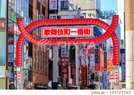 東京　新宿区 歌舞伎町の都市風景　歌舞伎町一番街 103725705
