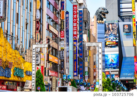 東京 新宿区 歌舞伎町の都市風景 歌舞伎町ゴジラロード(セントラルロード) 東京 新宿区 歌舞伎町の都市風景 歌舞伎町ゴジラロード(セントラルロード) 103725706