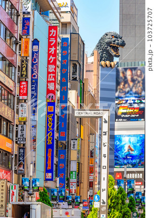 東京　新宿区 歌舞伎町の都市風景　歌舞伎町ゴジラロード（セントラルロード） 103725707