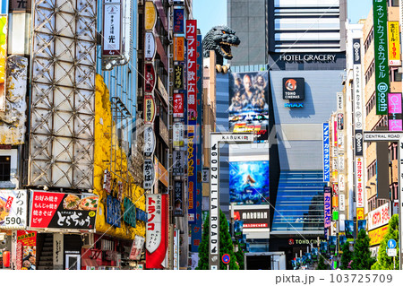 東京　新宿区 歌舞伎町の都市風景　歌舞伎町ゴジラロード（セントラルロード） 103725709