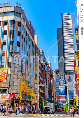 東京　新宿区 歌舞伎町の都市風景　歌舞伎町ゴジラロード（セントラルロード） 103725710