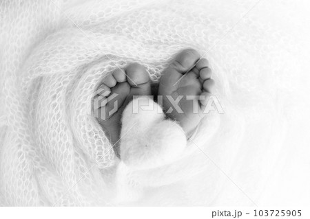 The tiny foot of a newborn baby. Soft feet of a new born in a wool blanket. Close up of toes, heels and feet of a newborn. Knitted heart in the legs of baby. Macro photography. Black and white.  103725905