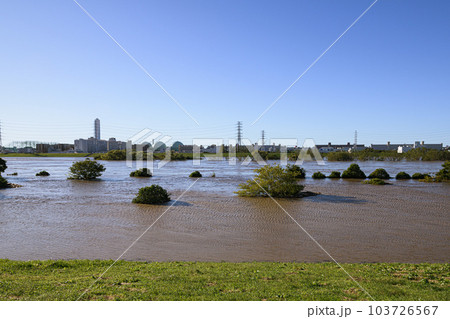 令和元年東日本台風・増水して氾濫寸前の荒川（埼玉県戸田市付近） 103726567