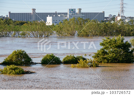 令和元年東日本台風・増水して氾濫寸前の荒川（埼玉県戸田市付近） 103726572