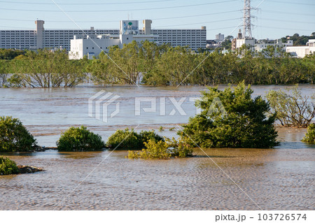 令和元年東日本台風・増水して氾濫寸前の荒川(埼玉県戸田市付近) 令和元年東日本台風・増水して氾濫寸前の荒川(埼玉県戸田市付近) 103726574