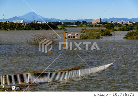 令和元年東日本台風・洪水で水没した彩湖道満グリーンパーク 103726873