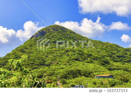 玉取崎展望台 (10月　石垣島　晴れ) 103727153