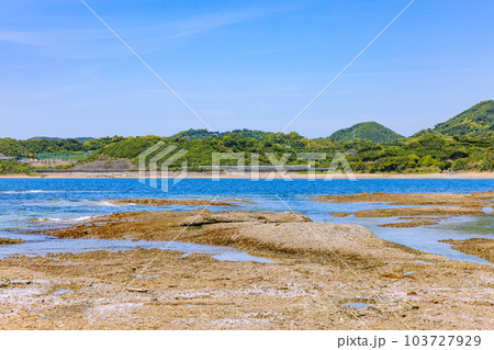 目津海岸と特急列車　和歌山県みなべ町 103727929