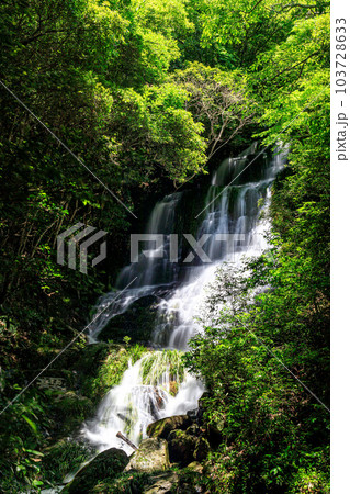 美しい新緑に囲まれた滝|太戸の滝 美しい新緑に囲まれた滝|太戸の滝 103728633