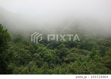 霧深い山の風景 霧深い山の風景 103728964