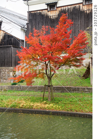 宇治川派流の秋 103729126