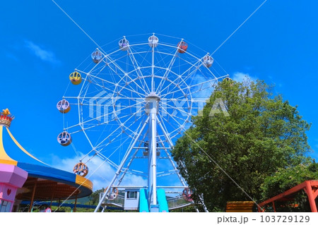 【山口県】秋吉台自然動物公園サファリランド　あにまる観覧車 103729129