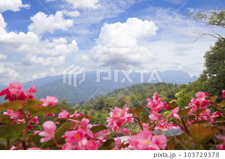 The Natural scenery overlooking the beautiful mountains and trees of Thailand. 103729378