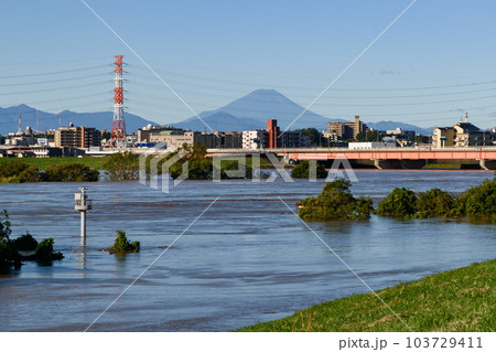 令和元年東日本台風・濁流で溢れる荒川と笹目橋 103729411