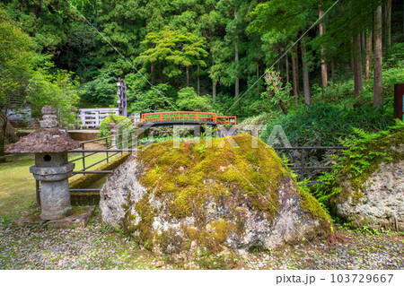 大谷寺 境内 宇都宮市 大谷寺 境内 宇都宮市 103729667