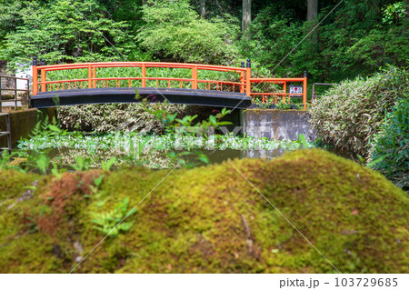 大谷寺　境内　宇都宮市 103729685