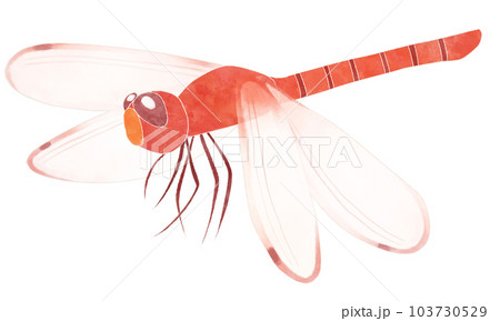 止まっている赤とんぼのイラスト素材のイラスト素材 [103730529] - PIXTA