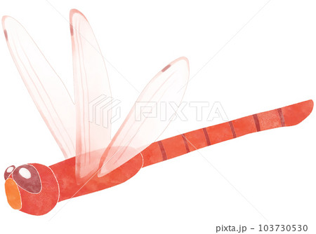 飛んでいる赤とんぼのイラスト素材のイラスト素材 [103730530] - PIXTA