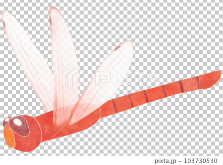 飛んでいる赤とんぼのイラスト素材 飛んでいる赤とんぼのイラスト素材 103730530