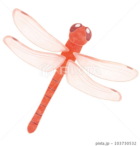 上から見たかわいい赤トンボのイラスト素材のイラスト素材 [103730532
